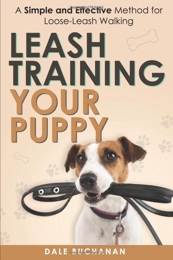 Leash Training Your Puppy